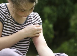 8 solutions naturelles pour se protéger des moustiques