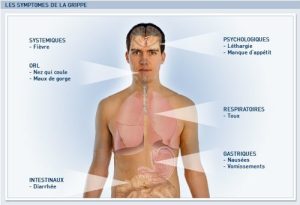Le virus H1  symptômes et prévention aktumag